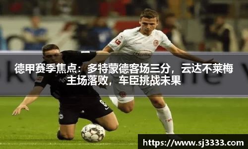 雷火电竞官方网站入口