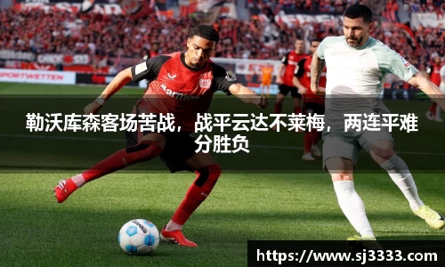 雷火电竞官方网站入口