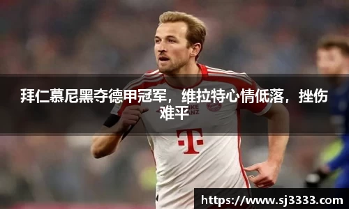 雷火电竞官方网站入口