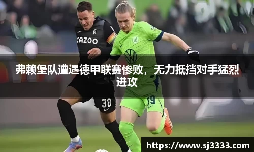 雷火电竞官方网站入口