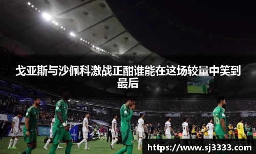 雷火电竞官方网站入口