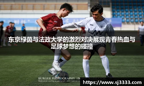 雷火电竞官方网站入口