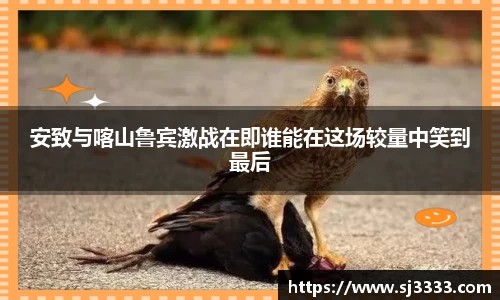 雷火亚洲电竞平台